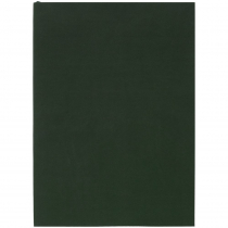 Ежедневник Flat Light, недатированный, оранжевый