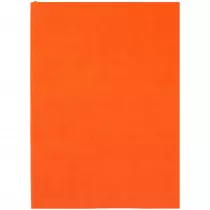 Ежедневник Flat Light, недатированный, оранжевый Ежедневник Flat Light, недатированный, оранжевый