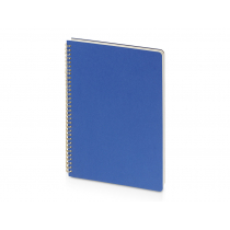 Бизнес-тетрадь Pragmatic, А4, синяя