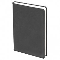 Ежедневник City Buffalo А5