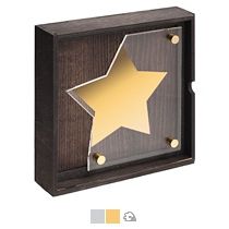 Награда «Asteri»