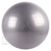 Фитбол с насосом «Уинсор», мяч