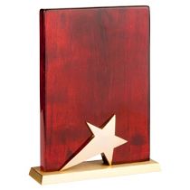 Наградная стела «Звездный чaс»