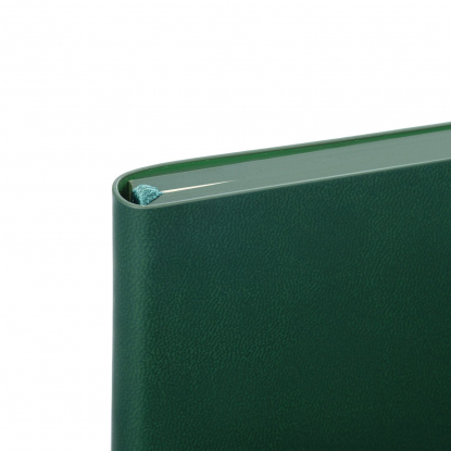 Ежедневник Latte soft touch, недатированный, зеленый