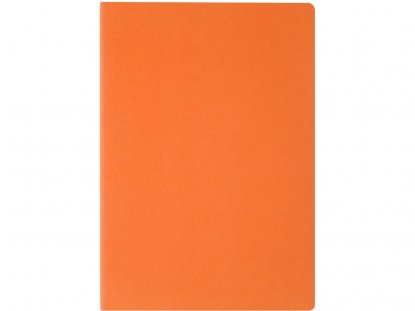 Бизнес тетрадь А5 Pragmatic, оранжевая