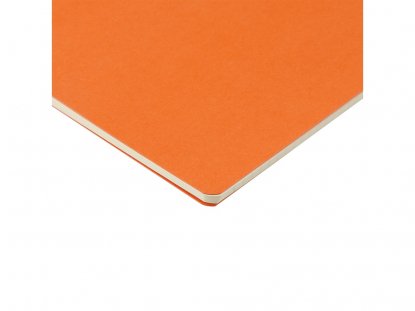 Бизнес тетрадь А5 Pragmatic, оранжевая