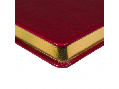 Ежедневник недатированный А5 Megapolis Nebraska, бордовый с золотистым обрезом