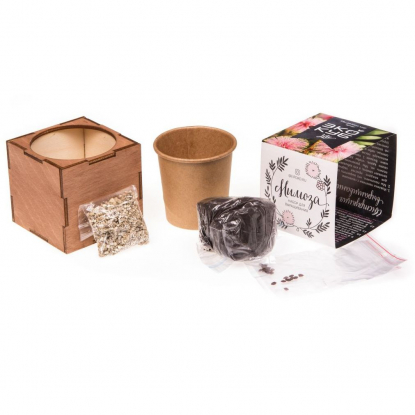 Набор для выращивания Экокуб Lite, мимоза, составные части набора