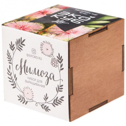 Набор для выращивания Экокуб Lite, мимоза