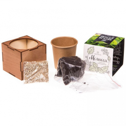 Набор для выращивания Экокуб Lite, мелисса, составные части набора