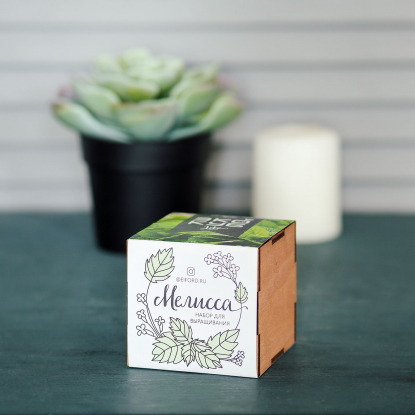 Набор для выращивания Экокуб Lite, мелисса, в интерьере