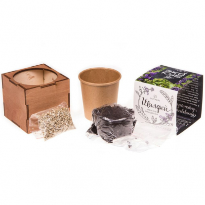 Набор для выращивания Экокуб Lite, шалфей, составные части