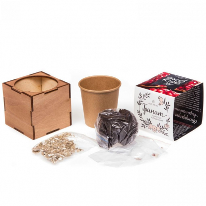 Набор для выращивания Экокуб Lite, гранат, составные части набора