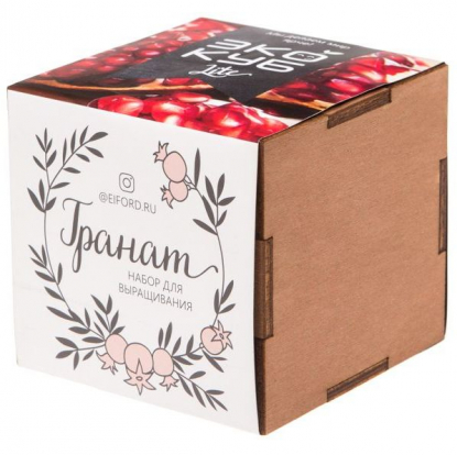 Набор для выращивания Экокуб Lite, гранат