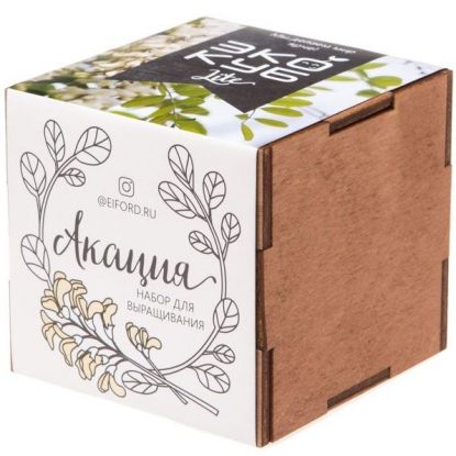 Набор для выращивания Экокуб Lite, акация
