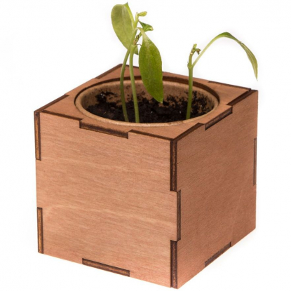 Набор для выращивания Экокуб Lite, перчик, пример роста