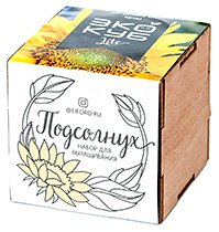 Набор для выращивания Экокуб Lite, подсолнух