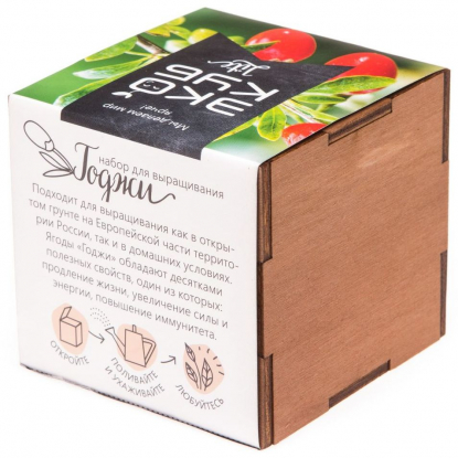Набор для выращивания Экокуб Lite, годжи
