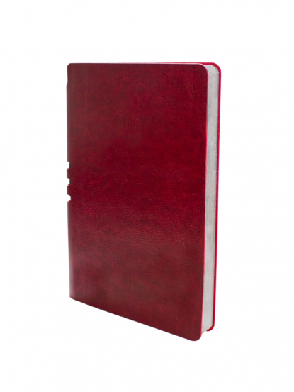 Блокнот Light book А5, коричневый, серебристый обрез, вид сбоку