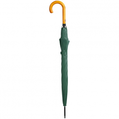 Зонт-трость LockWood ver.2, зеленый, в сложенном виде