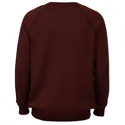 Джемпер Stitch с контрастной отделкой, бордовый, спина