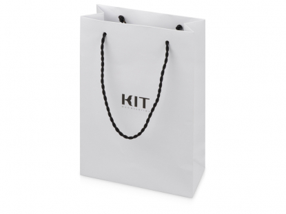 Ручка шариковая Professional Дробовик, подарочный пакет с логотипом