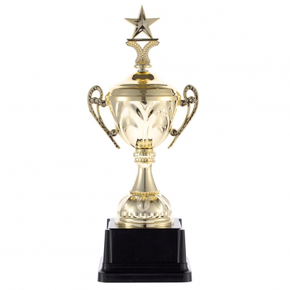 Кубок Top Star