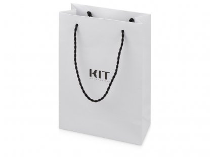 Ручка шариковая Professional Дробовик, подарочный пакет с логотипом