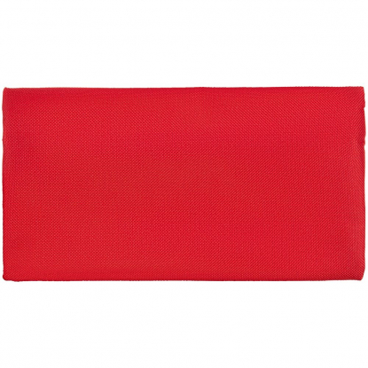 Пенал P-case, красный