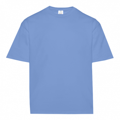 Футболка унисекс оверсайз Stan 39, голубая