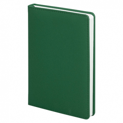 Ежедневник City Soft Touch Latte А5, зеленый