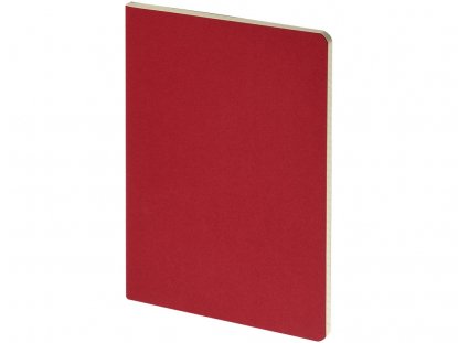 Бизнес тетрадь А5 Pragmatic, красная