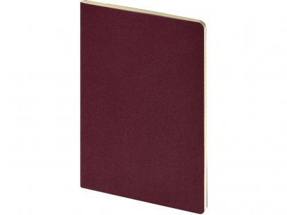 Бизнес тетрадь А5 Pragmatic, бордовая