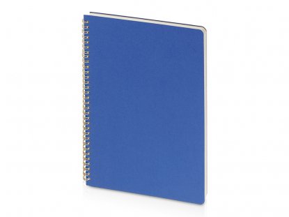 Бизнес-тетрадь Pragmatic, А4, синяя