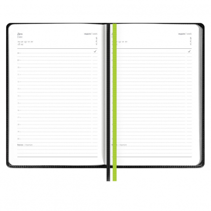 Ежедневник Alanis, недатированный, черный c зеленым