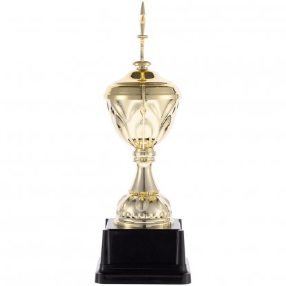 Кубок Top Star