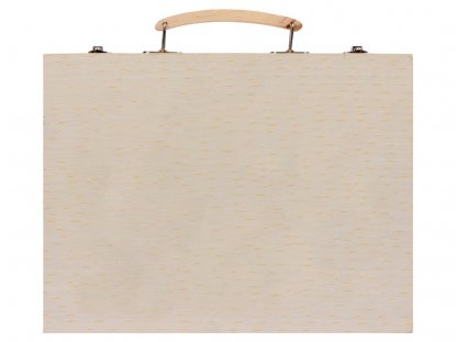 Чемодан, вид спереди