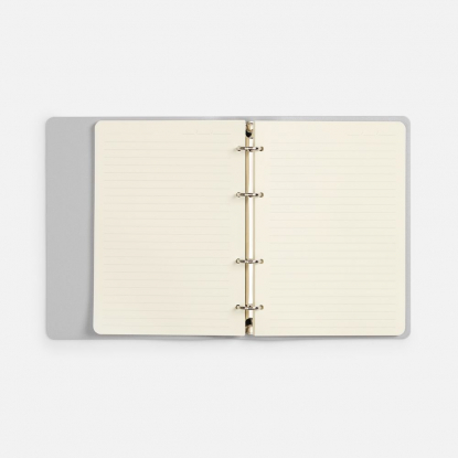 Ежедневник Ringo, недатированный, серебристый