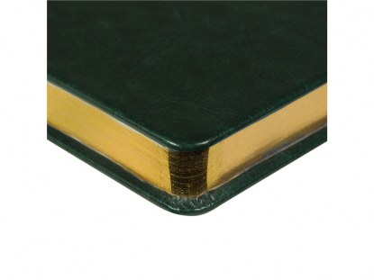 Ежедневник недатированный А5 Megapolis Nebraska, зеленый с золотистым обрезом