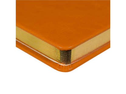 Ежедневник недатированный А5 Megapolis Nebraska, оранжевый с золотистым обрезом