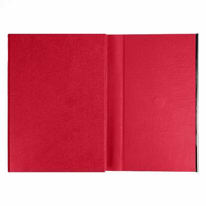 Ежедневник недатированный Alfa Bird Petrus A5, красный