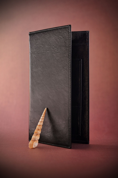 Органайзер для авиабилетов Парма, черный, в интерьере