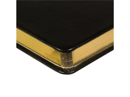 Ежедневник недатированный А5 Megapolis Nebraska, черный с золотистым обрезом