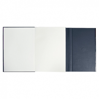 Ежедневник недатированный Alfa Bird Petrus A5, темно-синий