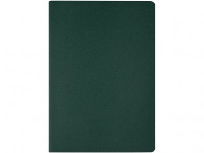 Бизнес тетрадь А5 Pragmatic, зелёная