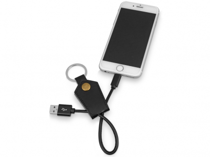 Кабель-брелок USB-Lightning Pelle, пример использования