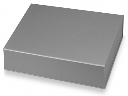 Подарочная коробка Giftbox средняя, серебристая