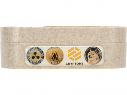 Набор для записей с семенами ромашки Patio