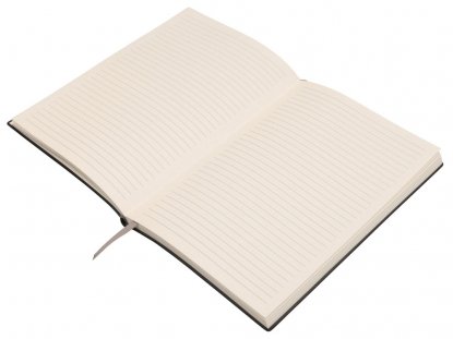 Подарочный набор Bradbury &Co с блокнотом А5 и ручкой