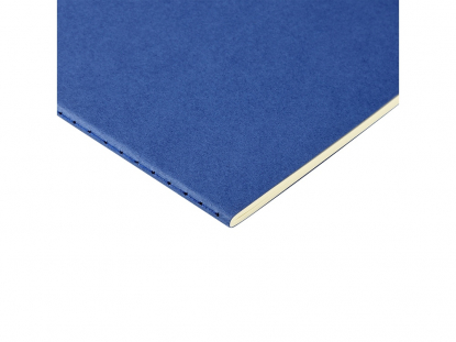 Бизнес тетрадь А5 Pragmatic, синяя